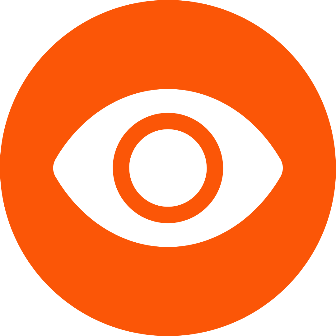Vision Logo